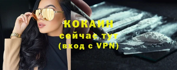 хмурый Алексин