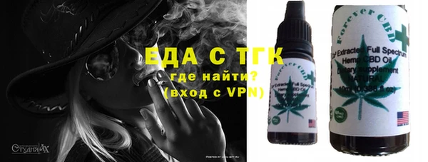 хмурый Алексин