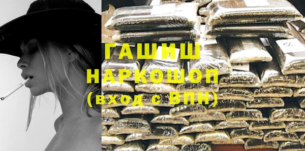 сатива Новозыбков