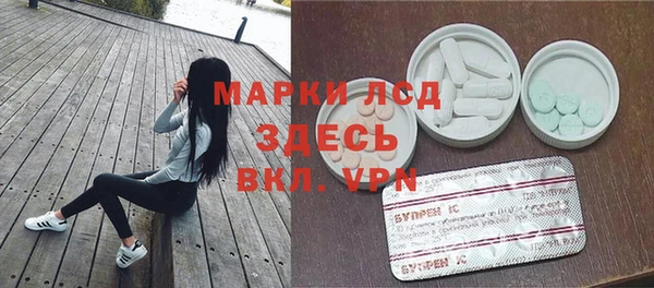 хмурый Алексин