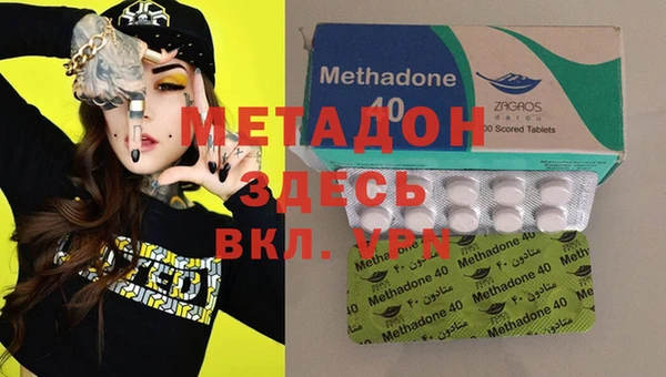 сатива Новозыбков