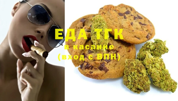 хмурый Алексин