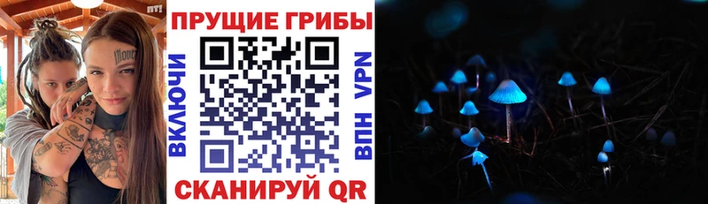 Псилоцибиновые грибы Cubensis  Боровск 